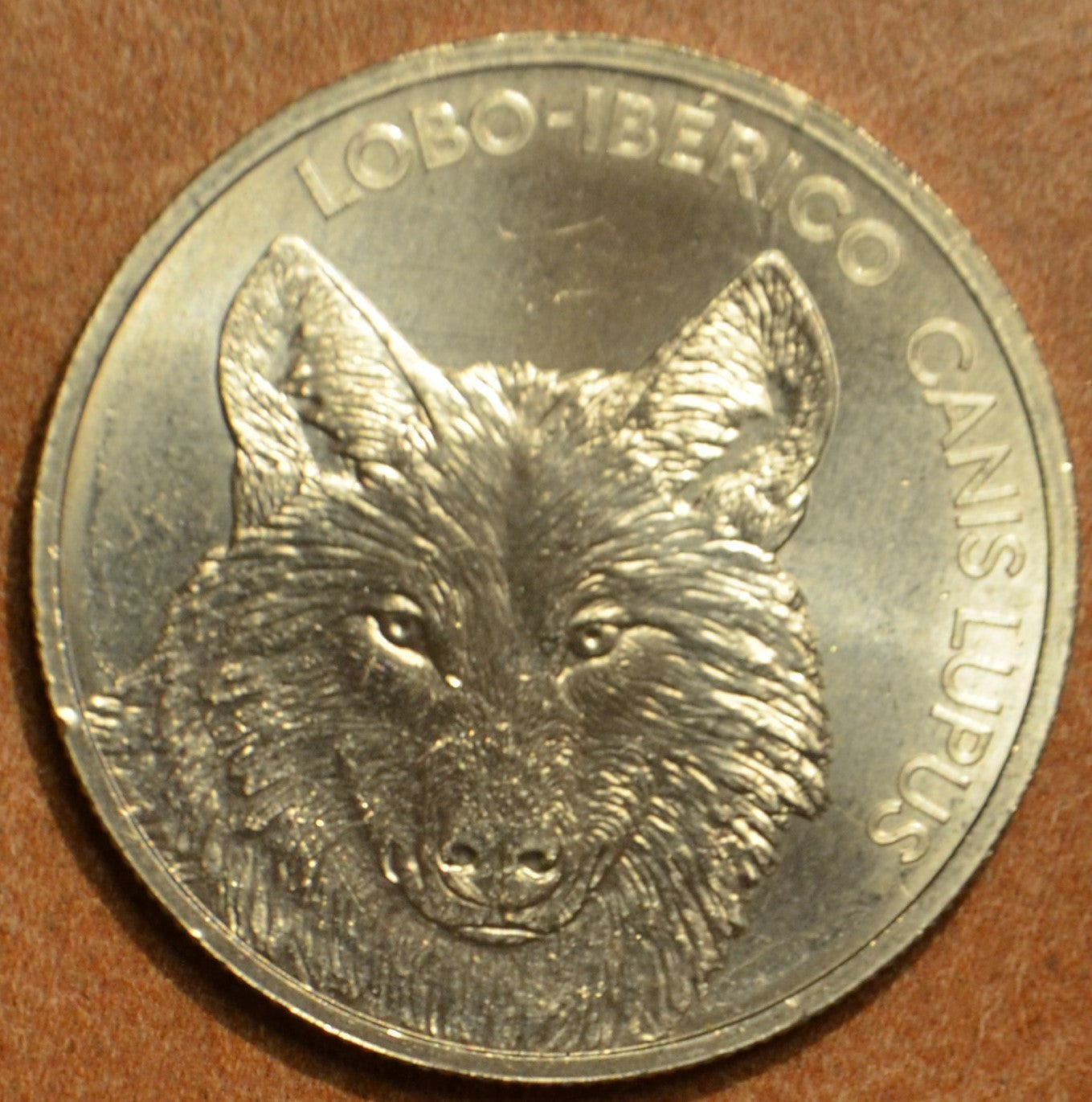 5 Euro Portugalsko 2019 - Iberijský vlk (UNC)