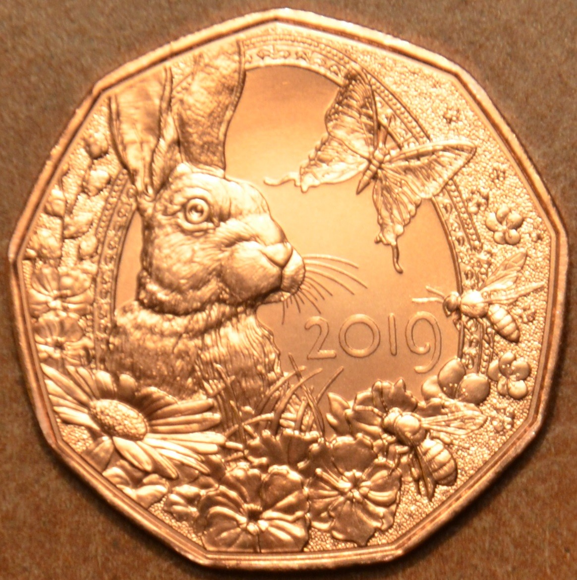 5 Euro Rakúsko 2019 Budiaca sa jar (UNC)